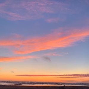 Meet your Posher, Hailey